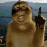 thinking-monkey-meme